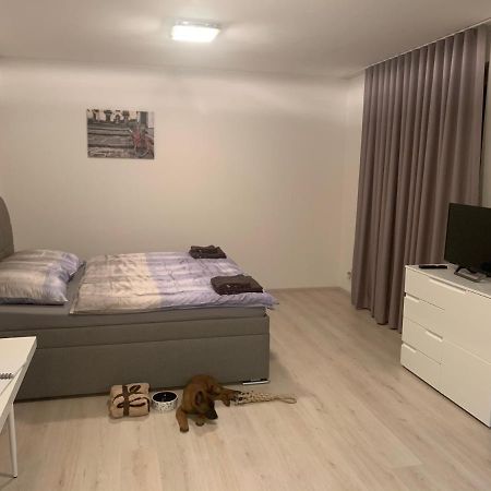 Modern Apartment In The City Center Plzeň Eksteriør billede