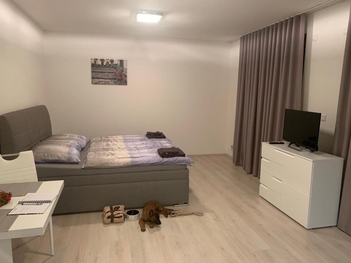 Modern Apartment In The City Center Plzeň Eksteriør billede